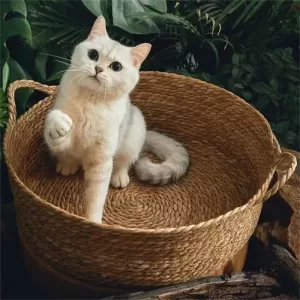 Rattan Cat Bed